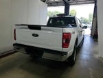2023 F-150 Thumbnail 4