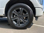 2023 F-150 Thumbnail 13