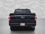 2023 F-150 Thumbnail 6