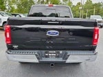 2023 F-150 Thumbnail 13