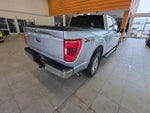 2023 F-150 Thumbnail 10