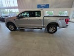 2023 F-150 Thumbnail 17