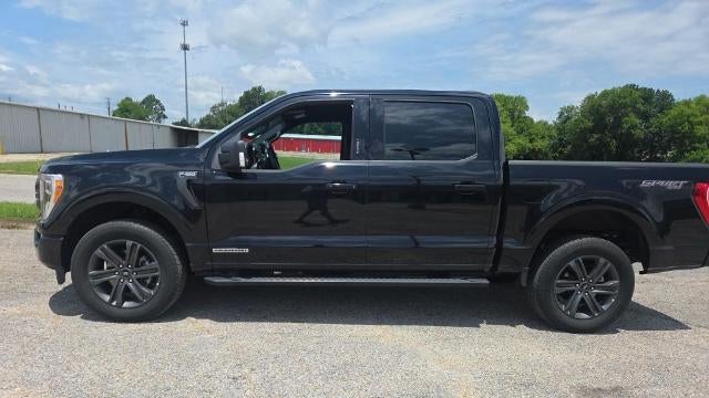 2023 Ford F-150 Limited
