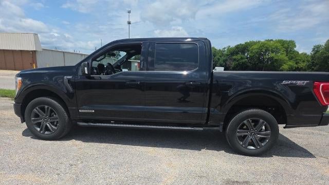 2023 Ford F-150 Limited