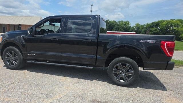 2023 Ford F-150 Limited