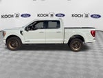 2023 F-150 Thumbnail 4
