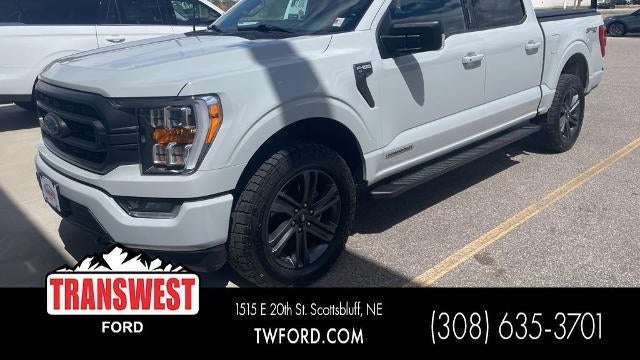 Preowned 2023 Ford F-150 XL for Sale