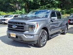 2023 F-150 Thumbnail 3