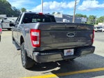 2023 F-150 Thumbnail 5