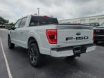 2023 F-150 Thumbnail 7