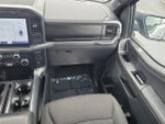 2023 F-150 Thumbnail 15