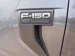 2023 F-150 Thumbnail 12