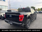 2023 F-150 Thumbnail 10