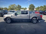 2021 F-150 Thumbnail 7