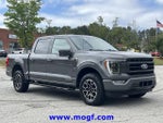 2021 F-150 Thumbnail 4