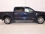 2021 F-150 Thumbnail 2