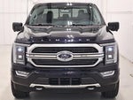 2021 F-150 Thumbnail 5