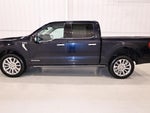 2021 F-150 Thumbnail 7