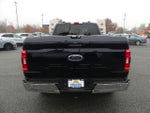 2021 F-150 Thumbnail 4