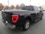 2021 F-150 Thumbnail 6