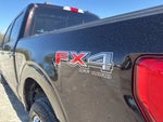 2021 F-150 Thumbnail 12