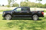 2021 F-150 Thumbnail 4