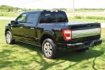 2021 F-150 Thumbnail 5