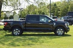 2021 F-150 Thumbnail 8