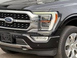 2021 F-150 Thumbnail 2