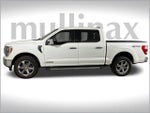 2021 F-150 Thumbnail 11