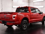 2022 F-150 Thumbnail 7