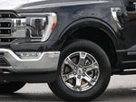 2022 F-150 Thumbnail 20