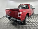 2022 F-150 Thumbnail 8