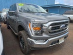 2022 F-150 Thumbnail 5