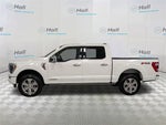 2023 F-150 Thumbnail 6