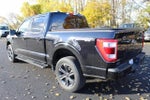 2023 F-150 Thumbnail 12
