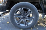 2023 F-150 Thumbnail 18
