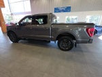 2023 F-150 Thumbnail 12