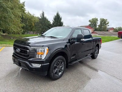 2023 Ford F-150 4X4 XLT 4DR Supercrew 6.5 FT. SB