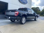 2023 F-150 Thumbnail 4