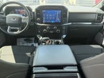 2023 F-150 Thumbnail 14
