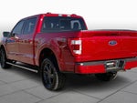 2023 F-150 Thumbnail 10