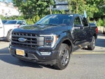 2023 F-150 Thumbnail 3