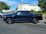 2023 F-150 Thumbnail 4
