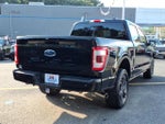 2023 F-150 Thumbnail 7