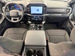 2023 F-150 Thumbnail 14