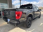 2023 F-150 Thumbnail 8