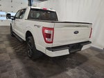 2023 F-150 Thumbnail 4