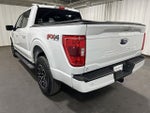 2023 F-150 Thumbnail 4