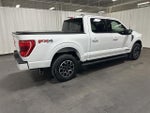 2023 F-150 Thumbnail 11